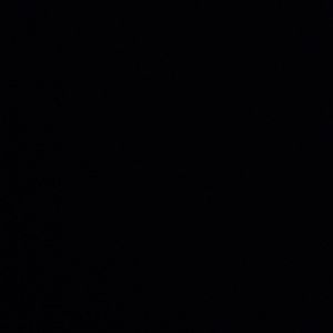 Meet your Posher, Quintin